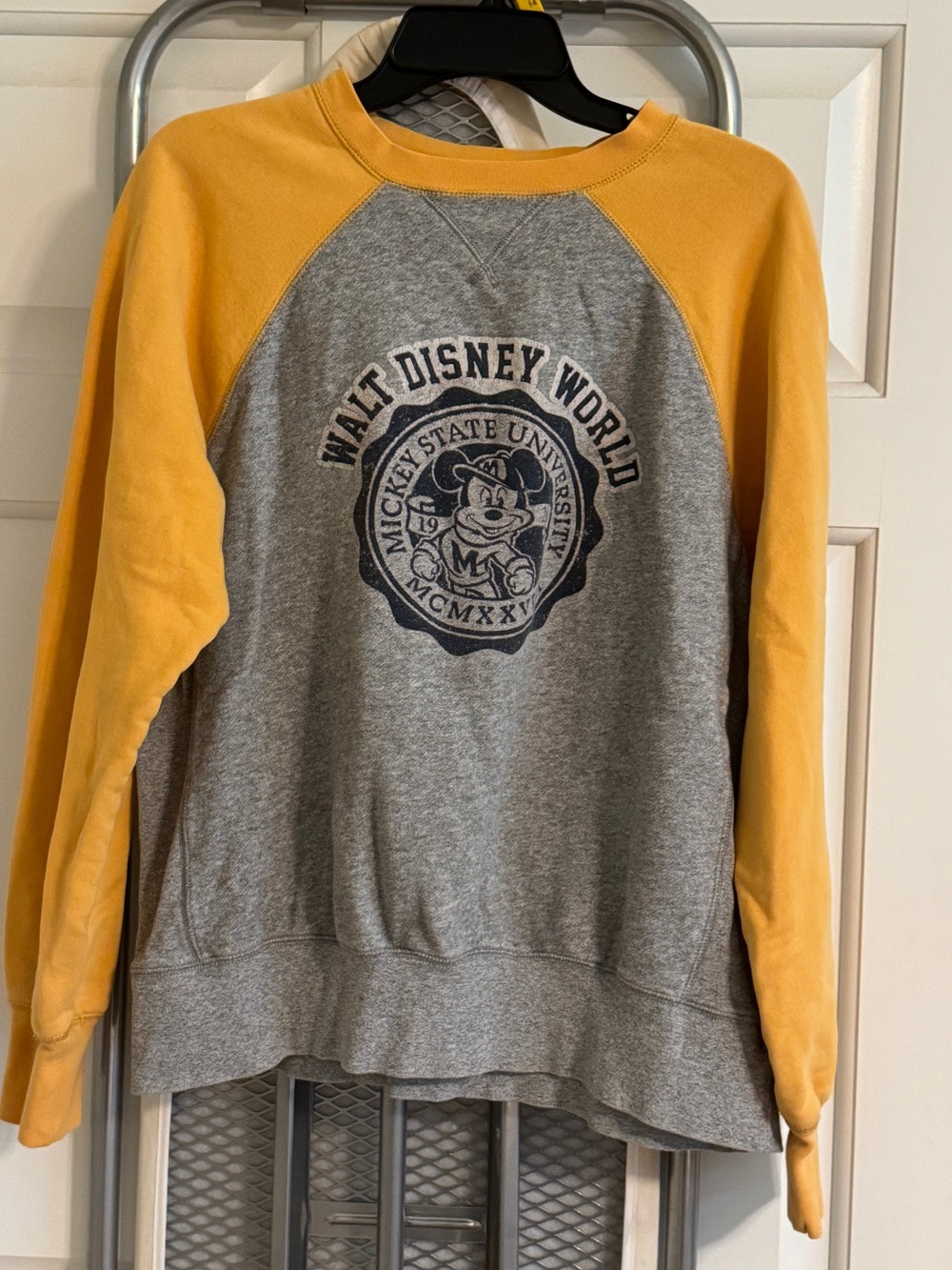 Authentic Vintage Disney Parks Raglan Sweatshirt, medium